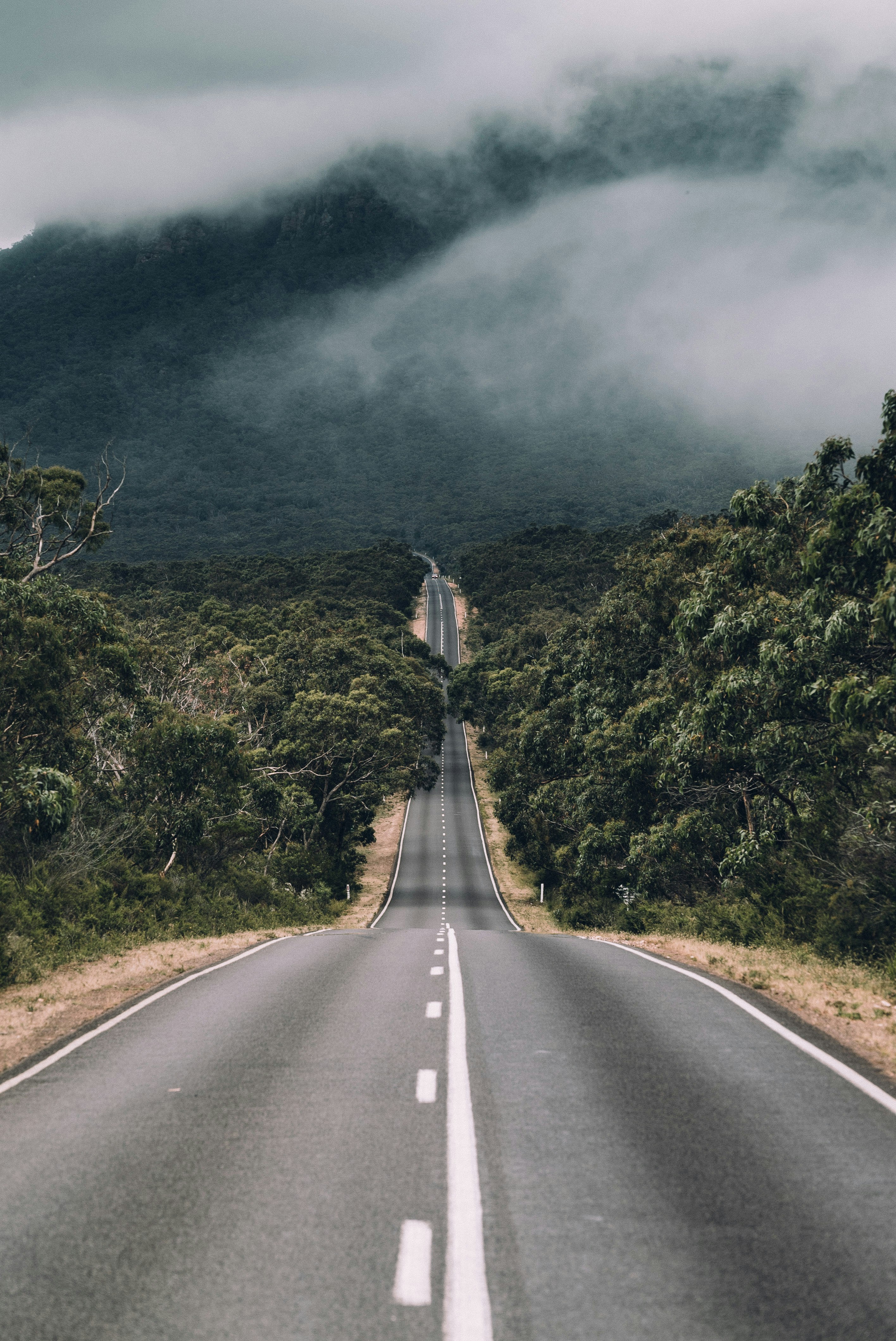 Strategic consulting for Australian businesses